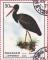 Colnect-1287-054-Black-Stork-Ciconia-nigra.jpg