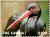 Colnect-5726-913-Black-Stork-Ciconia-nigra.jpg