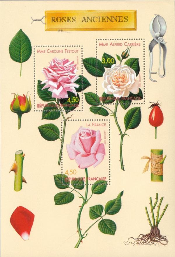Colnect-146-681-World-Congress-souvenir-sheet-of-old-roses.jpg