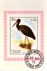 Colnect-2416-081-Black-Stork-Ciconia-nigra.jpg