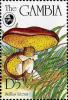 Colnect-3061-965-Suillus-luteus.jpg