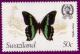 Colnect-1706-373-Green-banded-Swallowtail-Papilio-nireus.jpg