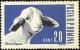 Colnect-4417-909-Domestic-Sheep-Ovis-ammon-aries.jpg