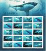 Colnect-4224-367-Sharks---Sheet.jpg