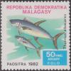 Colnect-1443-731-Yellowfin-Tuna--Thunnus-albacares.jpg