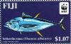 Colnect-3956-020-Yellowfin-Tuna--Thunnus-albacares.jpg