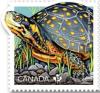 Colnect-5778-529-Spotted-Turtle-Clemmys-guttata.jpg