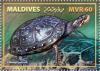 Colnect-6243-221-Spotted-Turtle-Clemmys-guttata.jpg