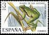Colnect-649-151-European-Tree-Frog-Hyla-arborea.jpg