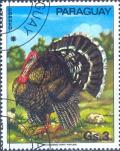 Colnect-2315-245-Domesticated-Turkey-Meleagris-gallopavo.jpg