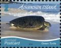 Colnect-6271-216-Green-Turtle-2019-Imprint.jpg