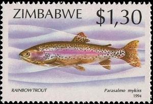 Colnect-2311-438-Rainbow-Trout-Parasalmo-mykiss.jpg