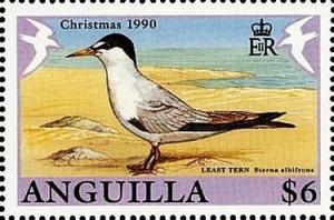 Colnect-2845-130-Little-Tern-Sterna-albifrons.jpg