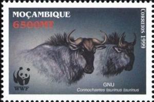 Colnect-4419-113-Two-adult-gnus.jpg