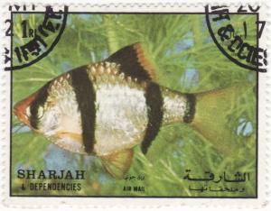 Colnect-943-301-Tropical-Fish.jpg