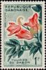 Colnect-956-202-African-Tulip-Tree-Spathodeum-campanulata.jpg
