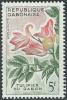 Colnect-2537-165-African-Tulip-Tree-Spathodeum-campanulata.jpg