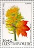 Colnect-135-017-Indigenous-Trees---Acer-platanoides.jpg