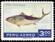 Colnect-1597-392-Yellowfin-Tuna--Thunnus-albacares.jpg