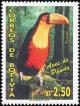 Colnect-5174-616-Green-billed-Toucan-Ramphastos-dicolorus.jpg