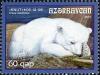Colnect-4428-778-Polar-Bear-Ursus-maritimus----Knut-.jpg