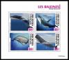 Colnect-7220-441-Various-Whales.jpg