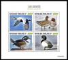 Colnect-7250-809-Various-Ducks.jpg