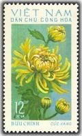 Colnect-1625-655-Cuc-Vang-Chrysanthemum.jpg