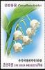 Colnect-5840-424-Lily-of-the-Valley-Convallaria-keiskei.jpg