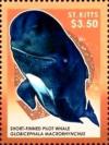 Colnect-3483-498-Short-finned-Pilot-Whale-Globicephala-macrorhynchus.jpg