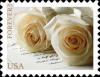 Colnect-4211-209-Wedding-Roses.jpg