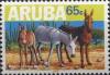 Colnect-982-098-African-Wild-Ass-Equus-asinus.jpg