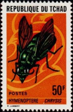 Colnect-1052-811-Cuckoo-Wasp-Chrysis-chrysis.jpg