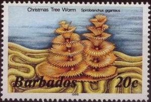 Colnect-1109-945-Christmas-Tree-Worm-Spirobranchus-giganteus.jpg