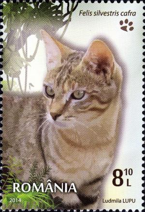 Colnect-2761-353-Southern-African-Wild-Cat-Felis-silvestris-cafra.jpg