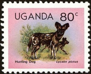 Colnect-4271-848-African-Wild-Dog-Lycaon-pictus.jpg