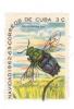 Colnect-1275-612-Cuckoo-Wasp-Chrysis-superba.jpg