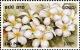 Colnect-2428-602-White-flowers.jpg