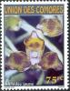 Colnect-6055-828-Yellow-orchid.jpg