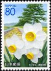 Colnect-5041-500-Daffodils--amp--Pines-along-Sakawagawa-River.jpg