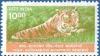 Colnect-548-011-Tiger-Panthera-tigris---Sundarbans-National-Biosphere-Rese.jpg