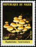 Colnect-1008-713-Mushrooms---Hypholoma-fasciculare.jpg