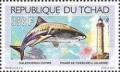 Colnect-1675-761-Cherchell-Algeria---Tiger-Shark-Galeocerdo-cuvier.jpg