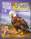 Colnect-3565-968-Bald-Eagle%C2%A0-%C2%A0Haliaeetus-leucocephalus.jpg
