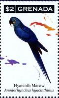 Colnect-4523-275-Hyacinth-Macaw----Anodorhynchus-hyacinthinus.jpg