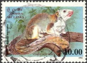 Colnect-2535-102-Natl-Wildlife--amp--nature-Protection-Soc.jpg