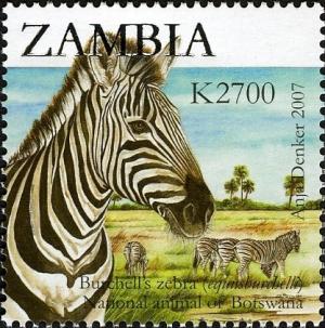 Colnect-3051-611-Plains-Zebra-Equus-burchelli.jpg
