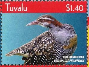 Colnect-4021-375-Buff-banded-Rail%C2%A0%C2%A0%C2%A0%C2%A0Gallirallus-philippensis.jpg