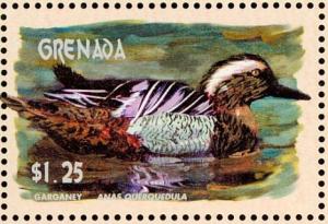 Colnect-4536-168-Garganey----Spatula-querquedula.jpg