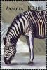 Colnect-3051-631-Plains-Zebra-Equus-burchelli.jpg